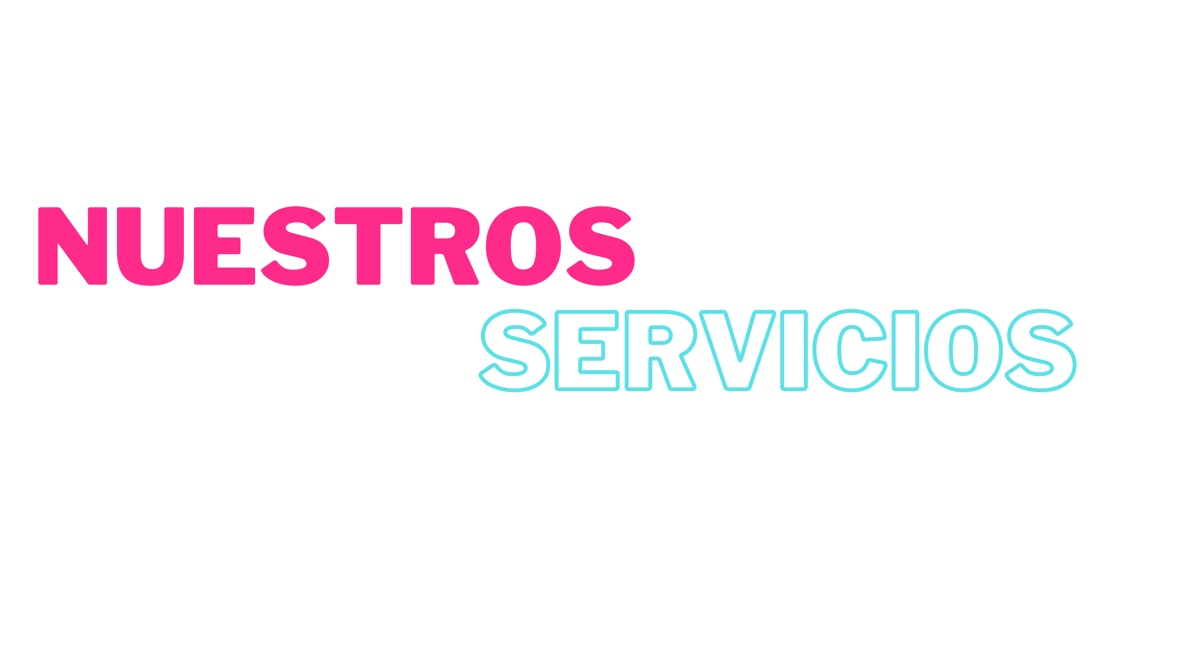 NUESTROS SERVICIOS